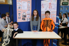 Science Fayre 2014